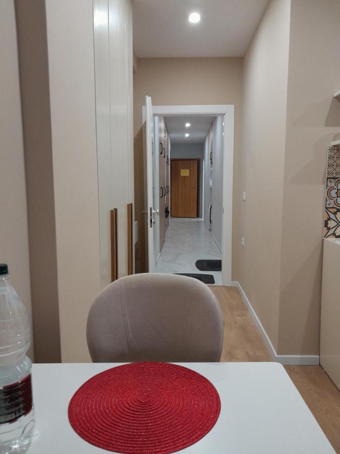 Kristi Apartments 03 ティラナ エクステリア 写真